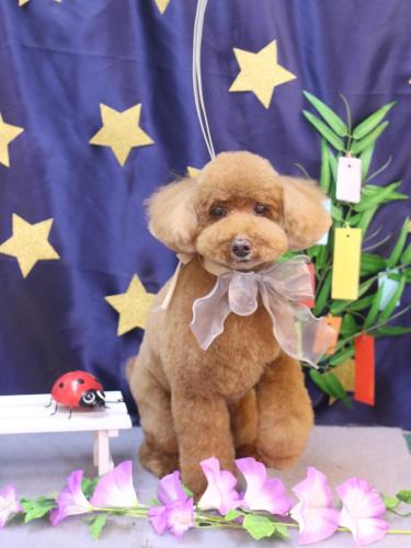 20230702レオくん